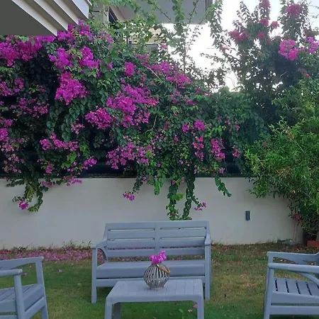 House - Boyalik Villa *